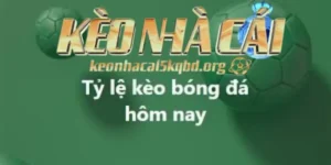 Theo Dõi Kèo Bóng Đá Hôm Nay Để Tăng Cơ Hội Chiến Thắng