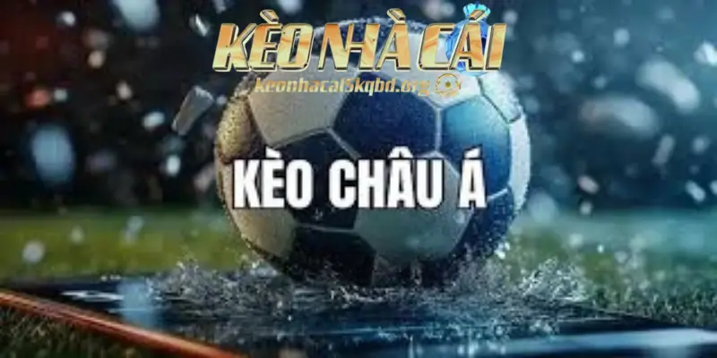 Cách Đọc Tỷ Lệ Kèo Châu Á Chính Xác Nhất Thị Trường