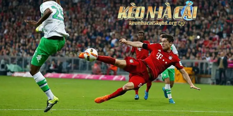 Lịch thi đấu bóng đá hôm nay ảnh hưởng trực tiếp đến lựa chọn kèo